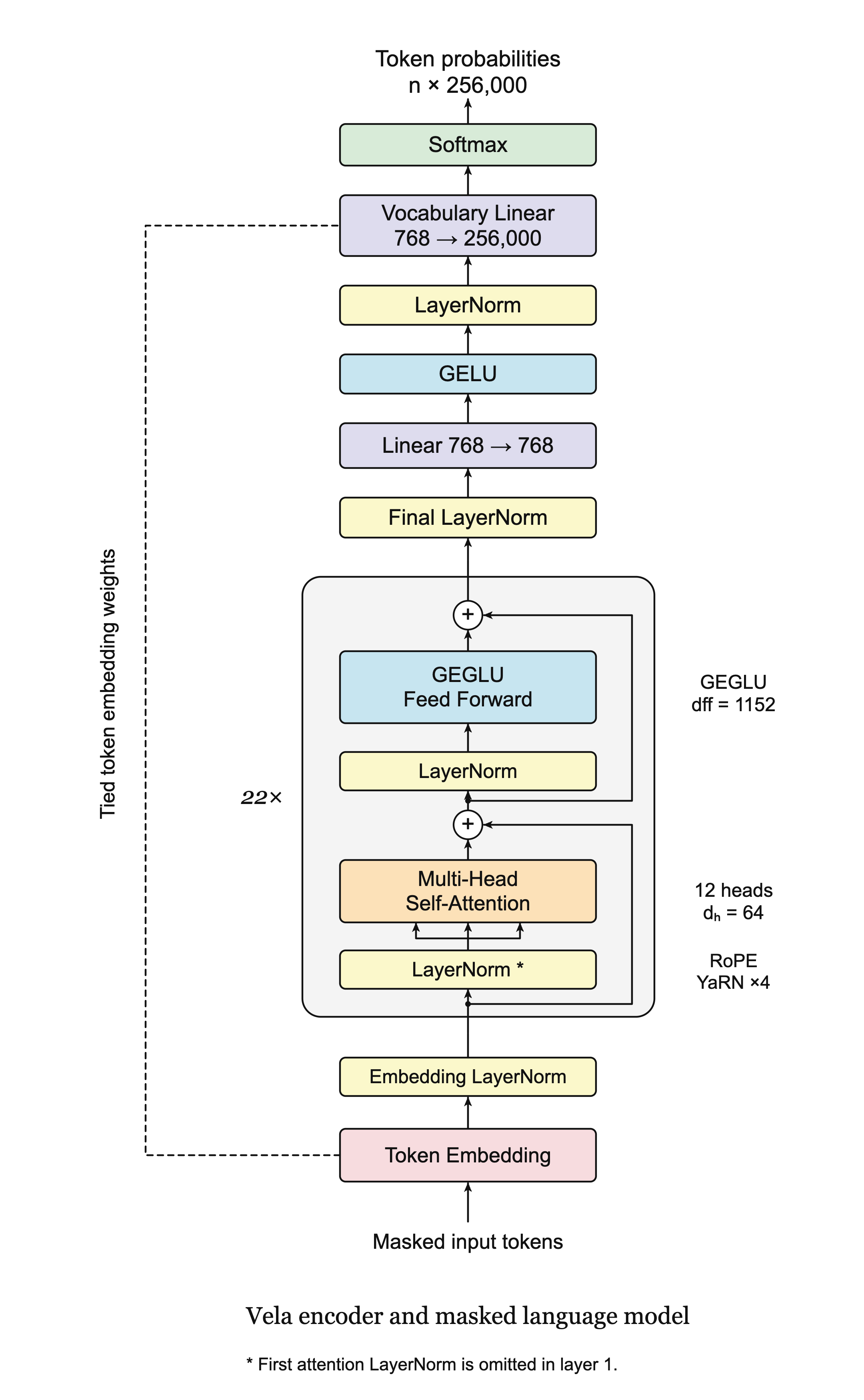 Vela's 22-layer ModernBERT backbone with explicit residual paths and masked-language-model head.